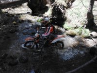 DSCF0797.JPG DSCF0797.JPG