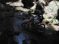 DSCF0798.JPG DSCF0798.JPG