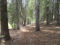 mc riding pics 023.jpg