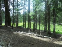 mc riding pics 022.jpg