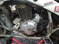 ImageUploadedByTapatalk1373217822.043802.jpg ImageUploadedByTapatalk1373217822.043802.jpg