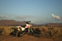 IMG_4463.JPG IMG_4463.JPG