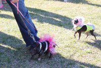 Target Practice.jpg Target Practice.jpg