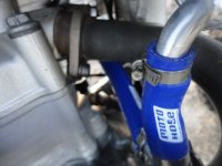 huskysolo 014.JPG huskysolo 014.JPG