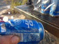 huskysolo 019.JPG huskysolo 019.JPG