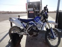 huskysolo 026.JPG huskysolo 026.JPG