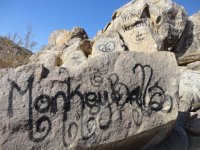 huskysolo 028.JPG huskysolo 028.JPG