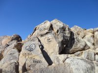 huskysolo 029.JPG huskysolo 029.JPG