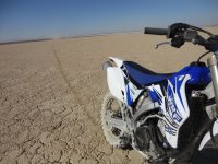 huskysolo 033.JPG huskysolo 033.JPG