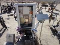 huskysolo 034.JPG huskysolo 034.JPG