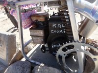 huskysolo 036.JPG huskysolo 036.JPG