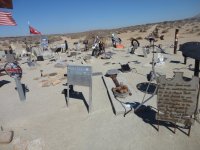 huskysolo 042.JPG huskysolo 042.JPG