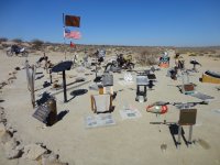 huskysolo 043.JPG huskysolo 043.JPG