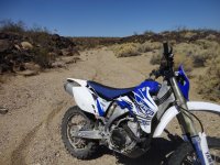 huskysolo 052.JPG huskysolo 052.JPG