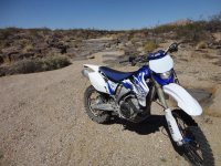 huskysolo 053.JPG huskysolo 053.JPG