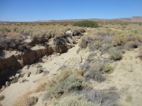 huskysolo 059.JPG huskysolo 059.JPG