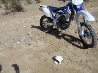 huskysolo 060.JPG huskysolo 060.JPG