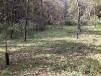 IMG_0440.JPG IMG_0440.JPG