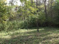 IMG_0441.JPG IMG_0441.JPG