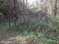 IMG_0443.JPG IMG_0443.JPG