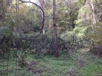 IMG_0444.JPG IMG_0444.JPG