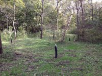 IMG_0445.JPG IMG_0445.JPG