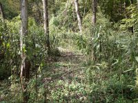 IMG_0446.JPG IMG_0446.JPG