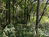 IMG_0447.JPG IMG_0447.JPG