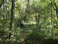 IMG_0448.JPG IMG_0448.JPG