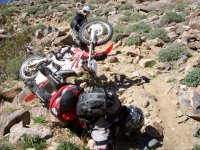 Friend.JPG Friend.JPG