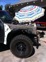 IMG_2381.JPG IMG_2381.JPG