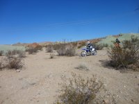 coppercity1012 022.JPG coppercity1012 022.JPG