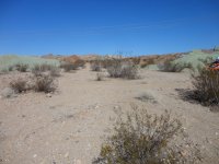 coppercity1012 023.JPG coppercity1012 023.JPG