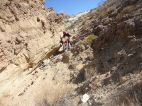 Return of Uncle Dee 032.JPG Return of Uncle Dee 032.JPG