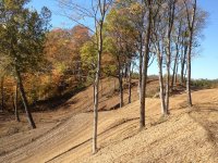 s1200_IMG_1803.jpg s1200_IMG_1803.jpg