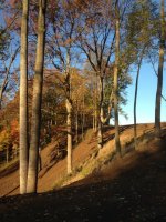 s1200_IN3.jpg s1200_IN3.jpg