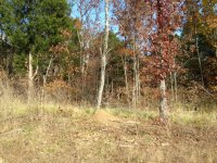 day1 2.JPG day1 2.JPG