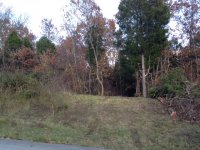 day1 3.JPG day1 3.JPG