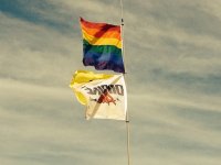 ImageUploadedByTapatalk1385650768.039964.jpg ImageUploadedByTapatalk1385650768.039964.jpg