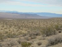 IMG_0769.JPG IMG_0769.JPG