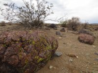 IMG_0767.JPG IMG_0767.JPG