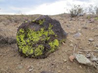 IMG_0766.JPG IMG_0766.JPG