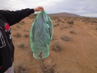 IMG_0764.JPG IMG_0764.JPG