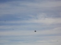 TDay2013 012.JPG TDay2013 012.JPG