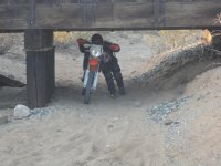 TDay2013 016.JPG TDay2013 016.JPG