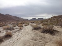 TDay2013 018.JPG TDay2013 018.JPG