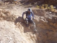 ImageUploadedByTapatalk1386435583.892626.jpg ImageUploadedByTapatalk1386435583.892626.jpg