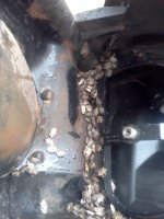 IMG_20131214_123011.jpg IMG_20131214_123011.jpg