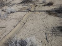 New Years2014 014.JPG New Years2014 014.JPG