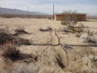 New Years2014 015.JPG New Years2014 015.JPG